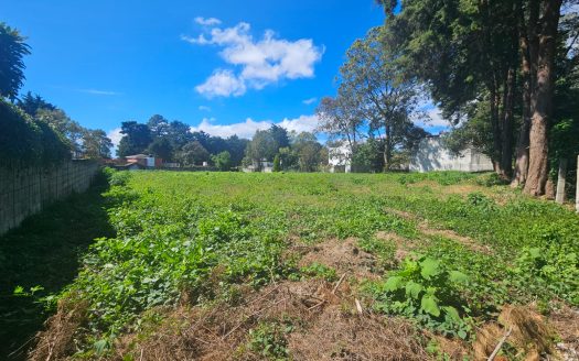 Terreno en Fraijanes: Ideal para Proyecto Inmobiliario