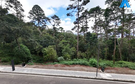 TERRENO EN VENTA – LUCENTA, LEGADO DEL BOSQUE, ZONA 16
